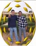 wald rif